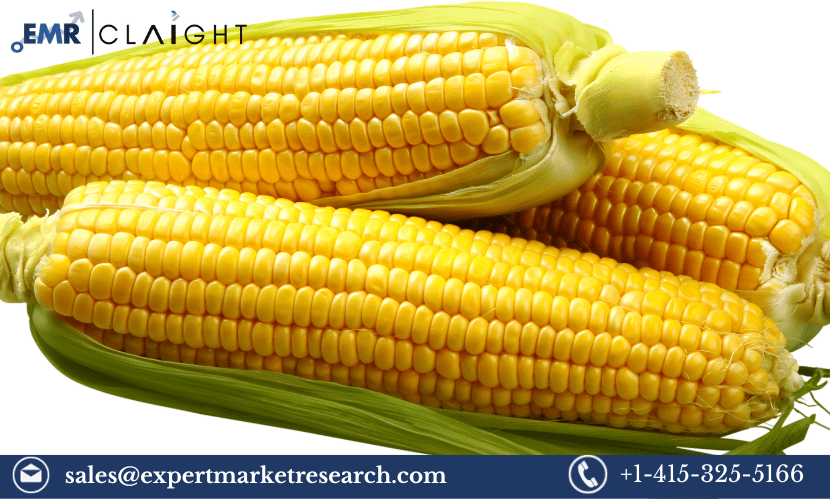 Corn Market