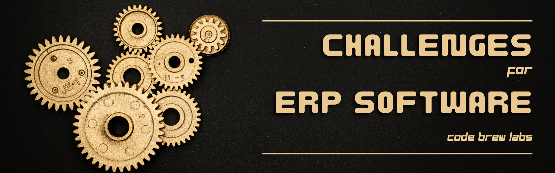 ERP Software