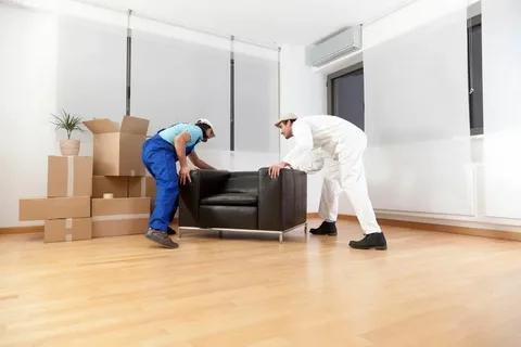 movers and furniture assembly