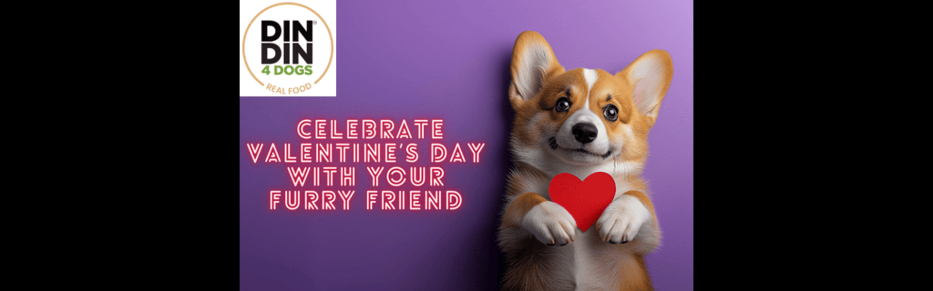 Celebrate Valentine’s Day With Your Furry Friend (1)